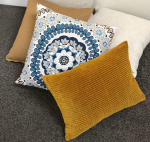 Read more about the article Cushion Crazy!!