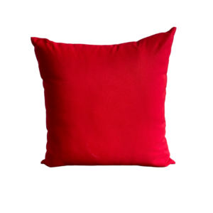 Outdoor Cushion Red Square